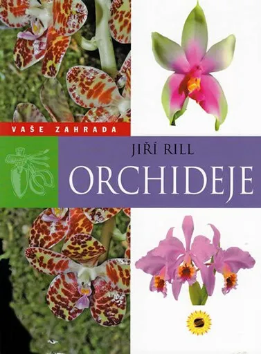 Orchideje (poškozená) - Rill Jiří