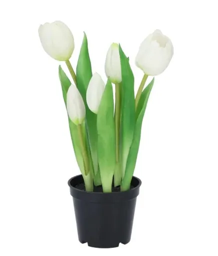 5ks bílý realistický tulipán Tulips v květináčku - Ø 8*7/ 26 cm 613652