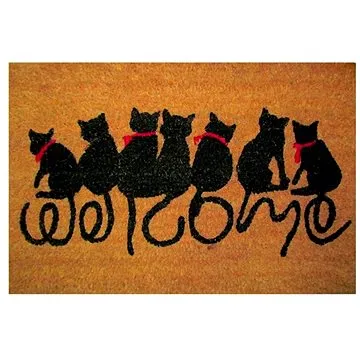 Duramat Čisticí vstupní rohož PVC