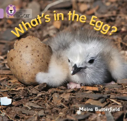 Whatâ€™s in the Egg? - Butterfield Moira