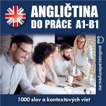 Angličtina do práce A1-B1 ()