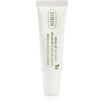 Ziaja Olive Oil vyživující balzám na rty s výtažkem z oliv 10 ml