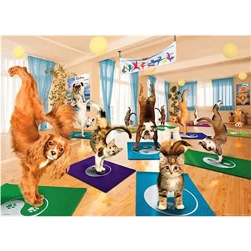 Eurographics Puzzle Jóga studio XL 300 dílků (628136354530)