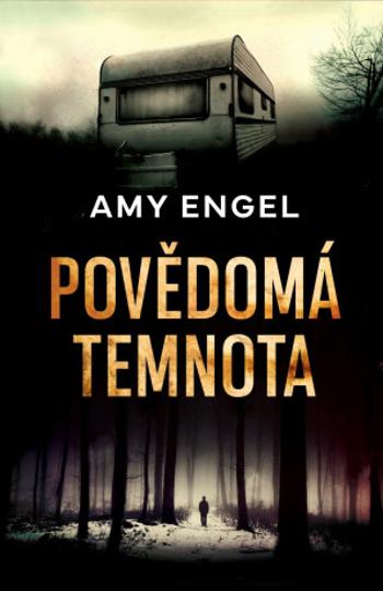 Povědomá temnota - Amy Engel