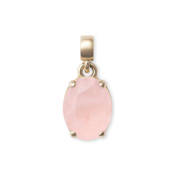 Daniel Wellington Půvabný pozlacený přívěsek s růženínem Charms DW00401459