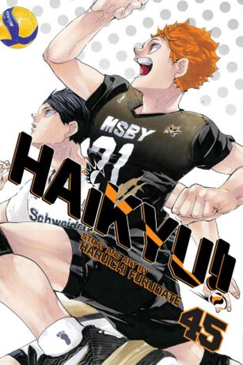 Haikyu!! 45 - Haruichi Furudate