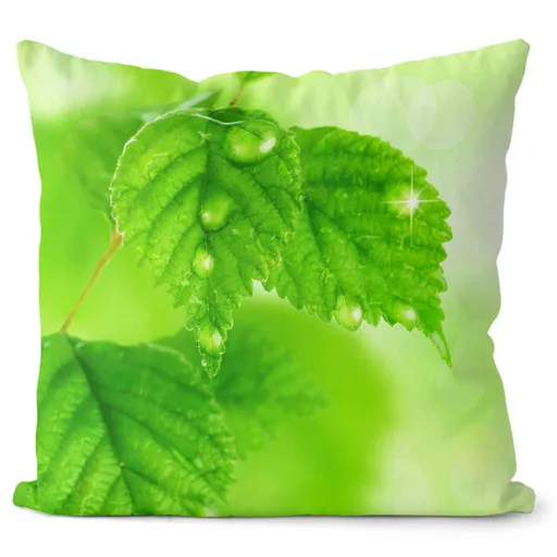 IMPAR Polštář Listí 40x40 cm (Velikost: 55 x 55 cm)