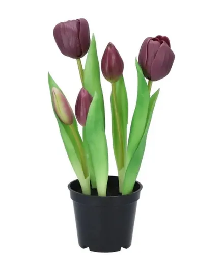 5ks fialový realistický tulipán Tulips v květináčku - Ø 8*7/ 26 cm 613654