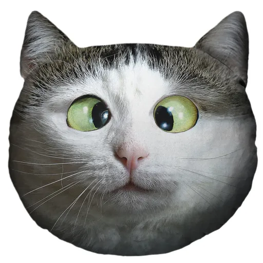 Kočičí hlava – Vykulvoč (Velikost kočičí hlavy: L)