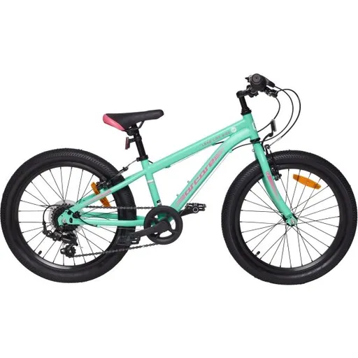 Arcore BRISK 20 Juniorské 20" kolo, tyrkysová, velikost