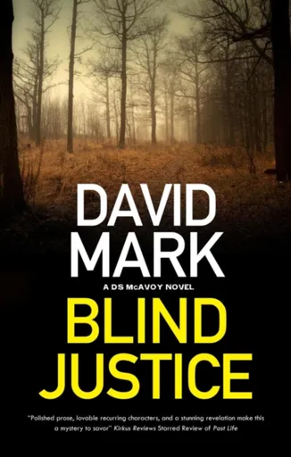 Blind Justice - David Mark