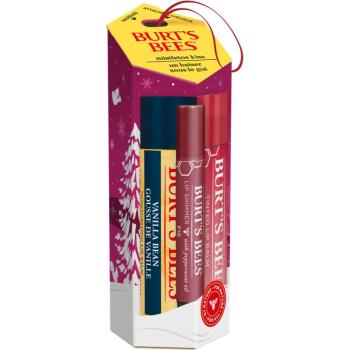 Burt’s Bees Festive Mistletoe Kiss dárková sada na rty