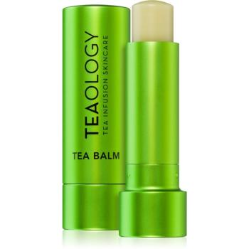 Teaology Tea Balm hydratační balzám na rty v tyčince odstín Matcha Tea 4 g