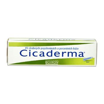 Boiron Cicaderma mast 30 g