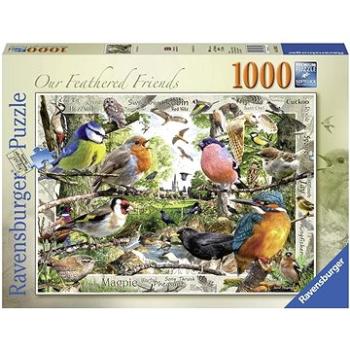 Ravensburger puzzle 198382 Naši opeření přátelé 1000 dílků  (4005556198382)