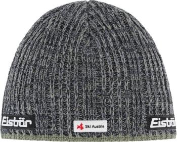 Eisbär Rene SKA Beanie Misty Forest/Grafity Grey UNI Čepice