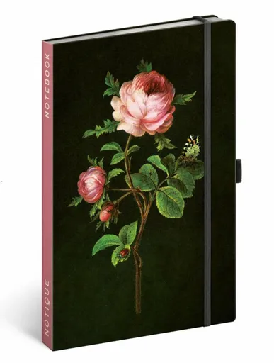 Notes Růže Kateřiny Winterové, tečkovaný - Kateřina Winterová