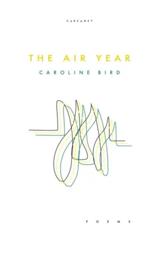 The Air Year - Caroline Bird