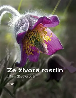 Ze života rostlin - Jiřina Zieglerová