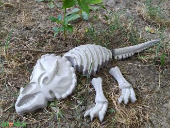 Beton Dinoszaurusz csontváz Triceratops