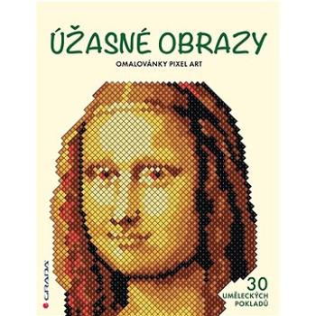 Omalovánky Pixel Art Úžasné obrazy: 30 uměleckých pokladů (978-80-271-3363-5)