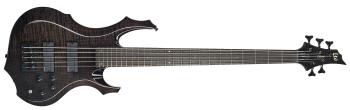 ESP LTD F-1005 FM STBLK