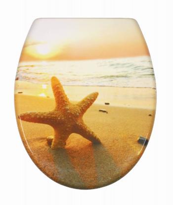 Schütte SEA STAR | Duroplast, Soft Close 4008431823737