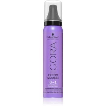 Schwarzkopf Professional IGORA Expert Mousse barvicí pěna na vlasy odstín 8-1 Light Blonde Cendré 100 ml