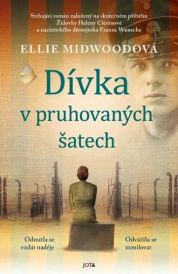 Dívka v pruhovaných šatech (Defekt) - Ellie Midwoodová