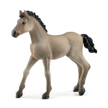 Schleich Zvířátko - hříbě Criollo Definitivo 13949 (4059433486673)