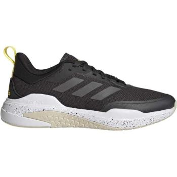 adidas TRAINER V Pánská tréninková obuv, černá, velikost 45 1/3