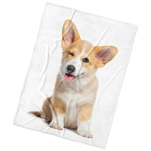 BedTex Deka mikroplyš Psí Veličenstvo, 150 x 200 cm