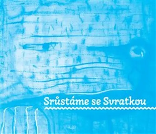 Srůstáme se Svratkou - František Hubatka, kolektiv autorů