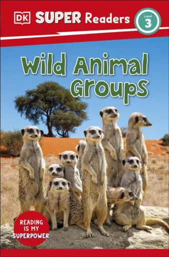 DK Super Readers Level 3 Wild Animal Groups - DK