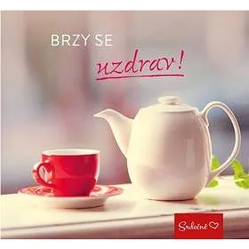 Brzy se uzdrav! (978-80-7549-209-8)