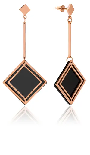 Troli Elegantní bicolor náušnice z oceli