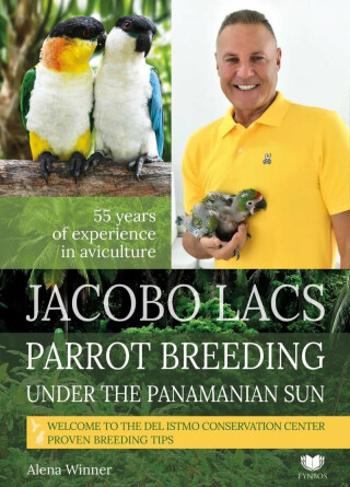 Jacobo Lacs Parrot breeding under the Panamanian sun - Alena Winnerová