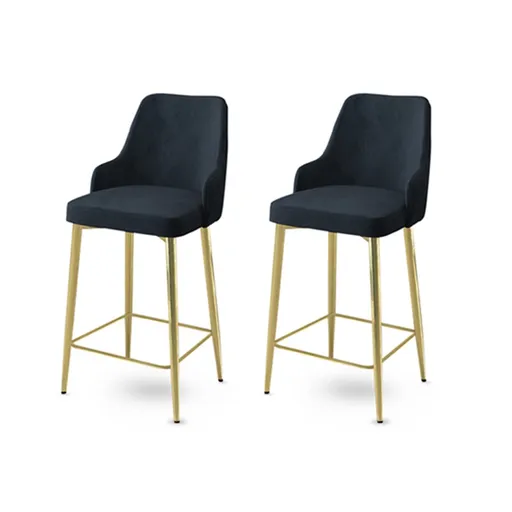 Bar Stool Set (2 Pieces) Enox - Anthracite, Gold