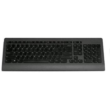 Lenovo 300 USB - CZ (GX30M39663)