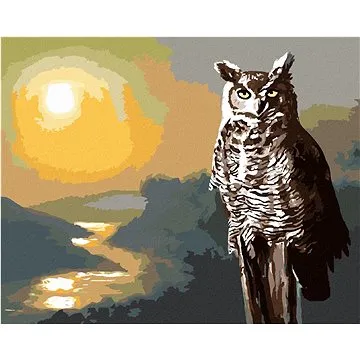 Zuty - Malování podle čísel - SOVA, ŘEKA A ZÁPAD SLUNCE (D. RUSTY RUST), 80x100 cm, vypnuté plátno n (HRAmmb01377nad)