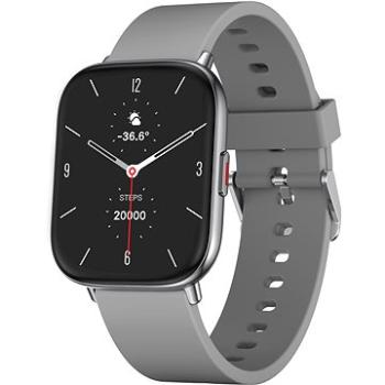 WowME Watch TS stříbrné/šedé (TS17P silver+grey)