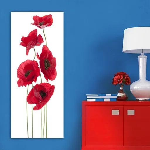 Dekorativní obraz na plátně DKY128322_50120