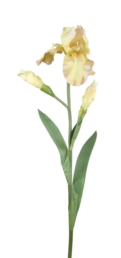 Dekorace umělý žlutý kosatec Iris Pale - 81 cm Ostatní