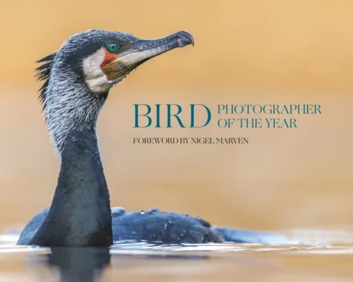 Bird Photographer of the Year
