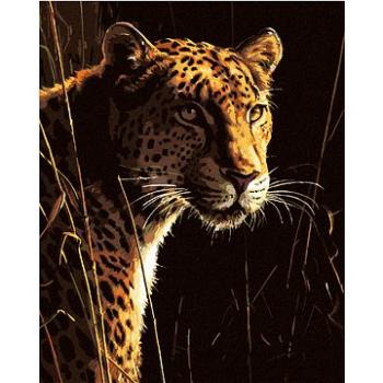 Zuty - Malování podle čísel – LEOPARD V TRÁVĚ (JAMES HAUTMAN), 80x100 cm, vypnuté plátno na rám (HRAmmb05079nad)