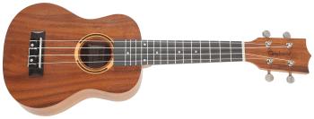 Tanglewood TWT 7