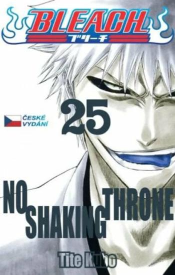 Bleach 25 - Tite Kubo