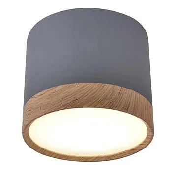 LED Stropní svítidlo TUBA LED/9W/230V (118378)