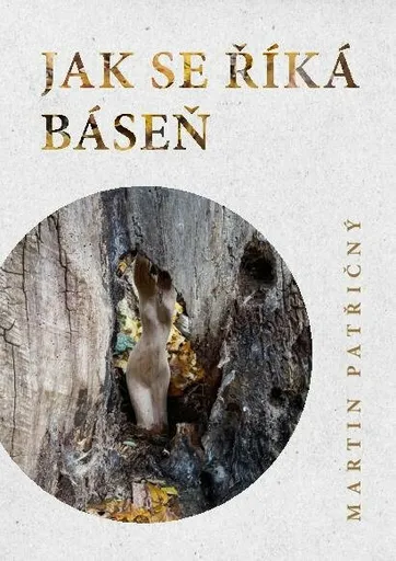 Jak se říká báseň - Martin Patřičný