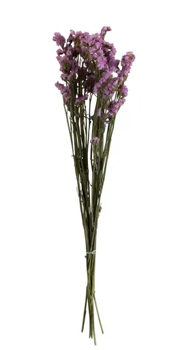 Sušený dekorativní trs statice - 13*5*69 cm J-Line by Jolipa